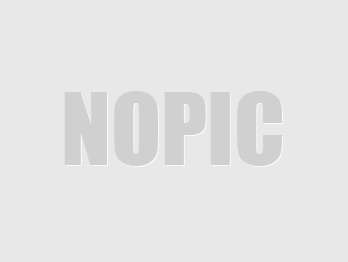 關于共同維護、建立和諧網絡環境的學習通知