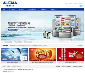 集團(tuán)網(wǎng)站產(chǎn)品設(shè)計(jì) 網(wǎng)頁與網(wǎng)站設(shè)計(jì)的策略與實(shí)踐